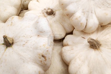 Photo for Close-up on a stack of white pattypan squashes on a market stall. - Royalty Free Image