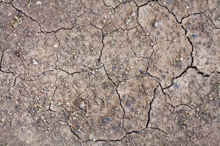 Téléchargez les photos : Close up on a cracked dry earth showing global warming. - en image libre de droit