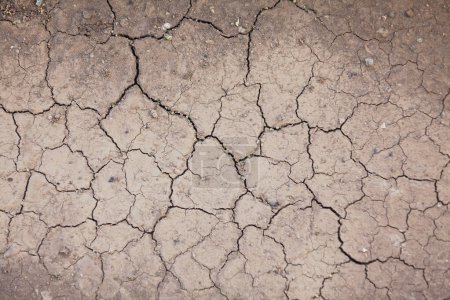 Téléchargez les photos : Close up on a cracked dry earth showing global warming. - en image libre de droit