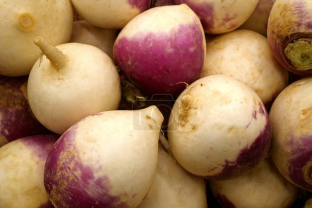 Photo for Close-up on a stack of turnips for sale on a market stall. - Royalty Free Image