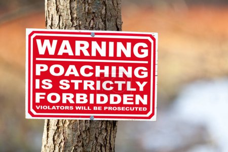 Foto de Cartel clavado en el tronco de un árbol que dice "Advertencia, la caza furtiva está estrictamente prohibida, los violadores serán procesados". - Imagen libre de derechos