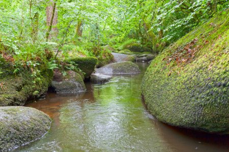 The "Riviere d'Argent" (Silver River) running through the blockfield in the forest of Huelgoat in Brittany.
