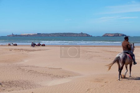 Téléchargez les photos : Essaouira, Maroc - 29 janvier 2019 : Homme marocain à cheval avec derrière, dromaderies reposant devant l "île de Mogador. - en image libre de droit