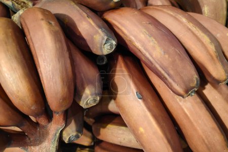 Großaufnahme auf einem Stapel roter Bananen an einem Marktstand.