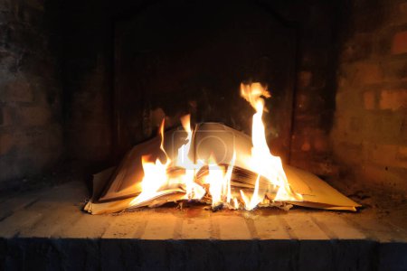Close-up on an old book burning in the middle of a fireplace.