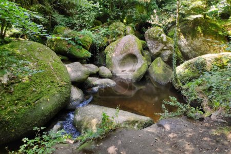 Campo de rocas junto al Río Plata (Riviere d 'Argent) en el bosque de Huelgoat en Bretaña.