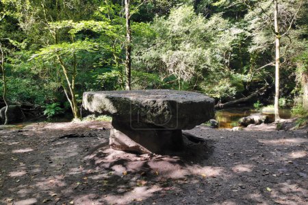 Round granite table at the Mare aux fees (Fairies' pond) in the Huelgoat forest.