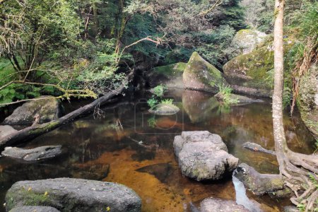 The Mare aux fes (Fairies' pond) in the Huelgoat forest is a small pond in the Riviere d'Argent (Silver River).
