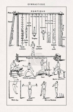 Illustration printed in a late 19th century French dictionary depicting some popular gymnastic exercises.