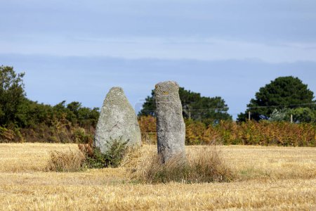 Menhirs Kerguiabo au milieu d'un champ dans la ville de Plourin en Finistère, Bretagne