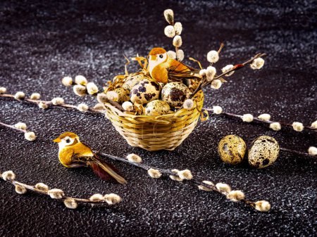 Foto de Nido con huevos de codorniz de Pascua y aves, ramas de sauce como decoración. Composición de Pascua de primavera sobre un fondo oscuro. - Imagen libre de derechos