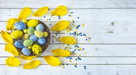 Téléchargez les photos : Fond de Pâques avec un panier et Pâques oeufs bleus et jaunes et pétales de tulipe sur un fond en bois clair. Composition de Pâques en couleurs bleu et jaune. Vue d'en haut. - en image libre de droit