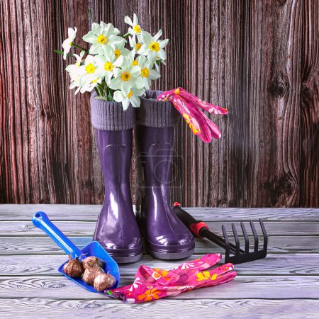 Photo for Blue rubber boots, a bouquet of daffodil flowers, garden tools. Gardening and seasonal agricultural work concept. - Royalty Free Image