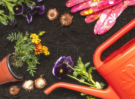 Gardening tools and flowers on soil background. top view.
