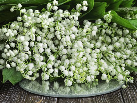 Foto de Fondo de lirio de las flores del valle. Flores de mayo fragantes de primavera blanca en la superficie del espejo, vista superior - Imagen libre de derechos