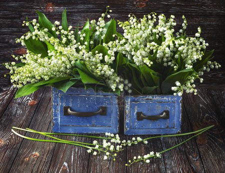Téléchargez les photos : Bouquet de fleurs de lys de la vallée dans une boîte vintage en bois bleu sur un fond en bois. Printemps nature morte - en image libre de droit