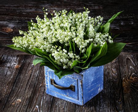 Téléchargez les photos : Bouquet de fleurs de lys de la vallée dans une boîte vintage en bois bleu sur un fond en bois. Vue d'en haut. - en image libre de droit