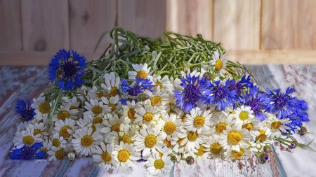 Foto de Ramo de margaritas y acianos sobre fondo de madera. Un hermoso ramo de flores silvestres azules y blancas a la luz del sol - Imagen libre de derechos