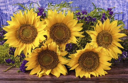Téléchargez les photos : Un bouquet de beaux tournesols jaunes et de fleurs violettes séchées en gros plan sur un fond bleu. Vue de face - en image libre de droit