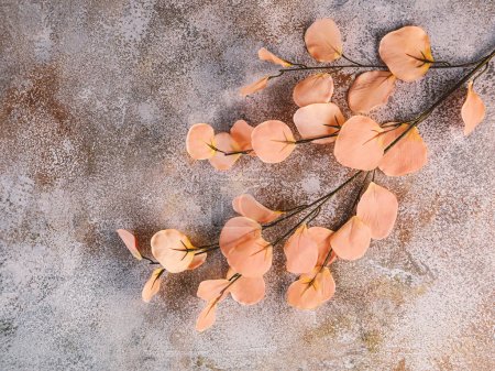 Foto de Una rama de flores artificiales en el color del año 2024 Melocotón Fuzz sobre un fondo de hormigón. Composición de primavera en tonos melocotón. - Imagen libre de derechos
