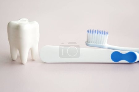 Photo for Toothbrushes with a small figure of a tooth on a light background. Dental health concept. - Royalty Free Image
