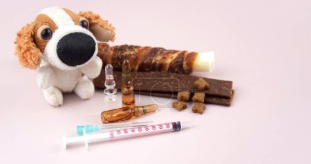 Photo for Syringe with ampoules, soft dog toy and treats. The concept of the importance of pet vaccination, care. - Royalty Free Image