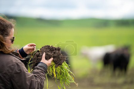 Photo for Female farmer testing soil on a farm - Royalty Free Image