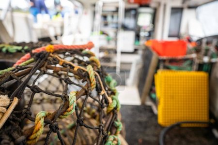 Téléchargez les photos : Crayfish cray pots sur le dos d'un bateau de pêche en tasmanie australie au printemps - en image libre de droit