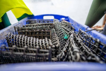 Téléchargez les photos : Économiseurs d'appâts sur un bateau de pêche au homard en Australie - en image libre de droit