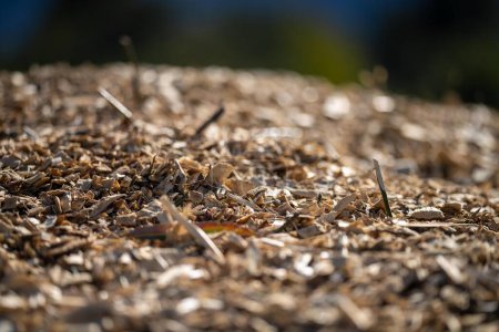 Téléchargez les photos : Tas de compost, compost thermophile organique tournant en Tasmanie Australie au printemps - en image libre de droit
