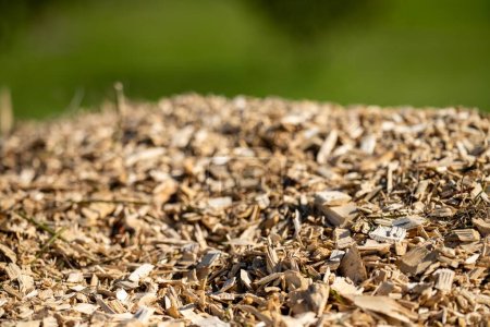 Komposthaufen, organischer thermophiler Kompost beim Drehen in Tasmanien Australien im Frühjahr