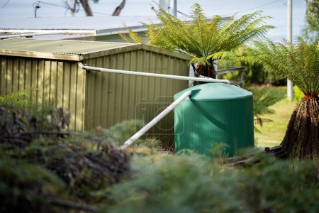 Depósito de agua de plástico en el bosque de una casa fuera de la red en Australia en el arbusto