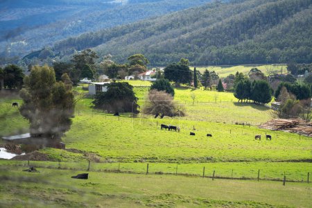 Téléchargez les photos : Ferme équestre dans les collines australiennes - en image libre de droit