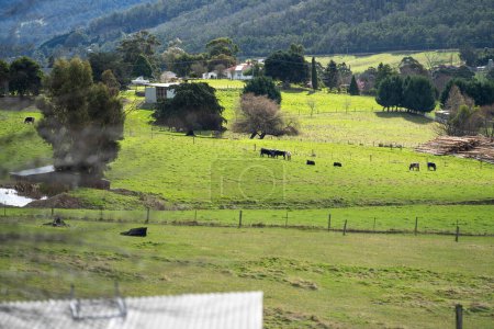 Téléchargez les photos : Ferme équestre dans les collines australiennes - en image libre de droit
