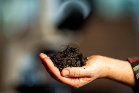 Photo for Female farmer holding soil, doing soil tests in her home laboratory. Looking at soil life and health in australia - Royalty Free Image
