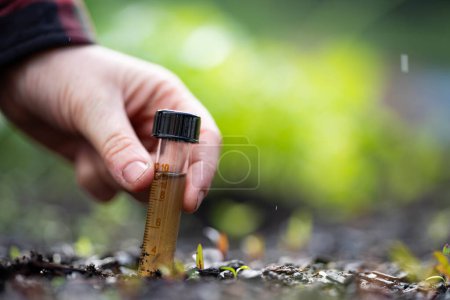 Photo for Female farmer hold soil in hands monitoring soil health on a farm in australia - Royalty Free Image