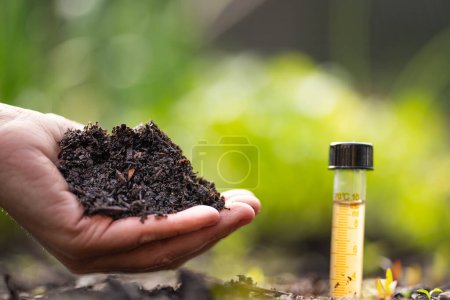 essai du sol avec une éprouvette dans le sol fermer les plantes en arrière-plan en Australie