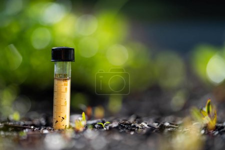 Foto de Pruebas de suelo con un tubo de ensayo en el suelo cerca de las plantas en el fondo en Australia - Imagen libre de derechos