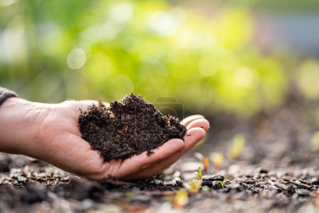 Téléchargez les photos : Essai du sol avec une éprouvette dans le sol fermer les plantes en arrière-plan en Australie - en image libre de droit