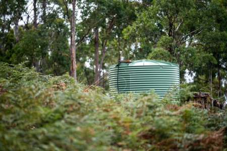 Depósito de agua de plástico en el bosque de una casa fuera de la red en Australia en los arbustos en verano