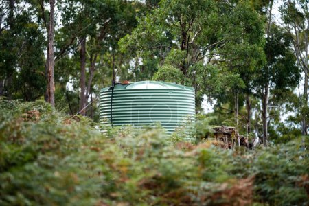 Wassertank aus Kunststoff im Wald eines Hauses im australischen Busch im Sommer