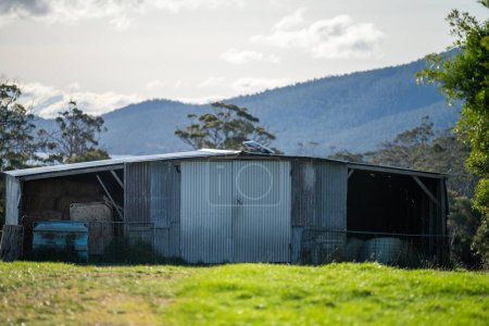 farm shed on a livestock farm. old hay shed