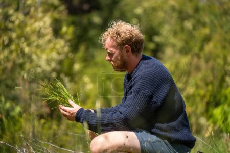 Téléchargez les photos : Agronomie des plantes et des sols par un agriculteur dans un champ d'une ferme - en image libre de droit