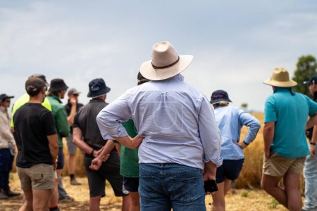 Téléchargez les photos : Groupe d'agriculteurs agro-industriels dans un champ d'apprentissage sur le blé et l'orge - en image libre de droit