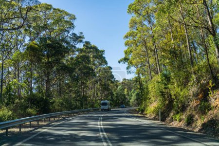 Foto de Turista viajando en una caravana explorando la naturaleza conduciendo en un raod en el bosque Coches Conduciendo en una carretera - Imagen libre de derechos