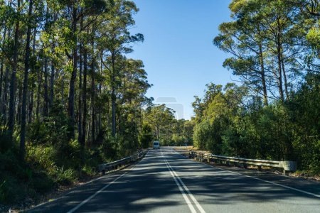 Touristen, die in einem Wohnwagen die Natur erkunden, fahren auf einem Feldweg im Wald Auto fahren auf einer Autobahn