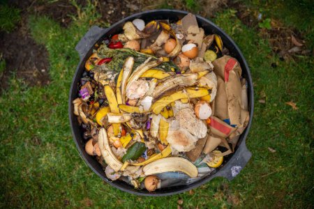 Pila de compost, compost termofílico orgánico girando en Tasmania Australia