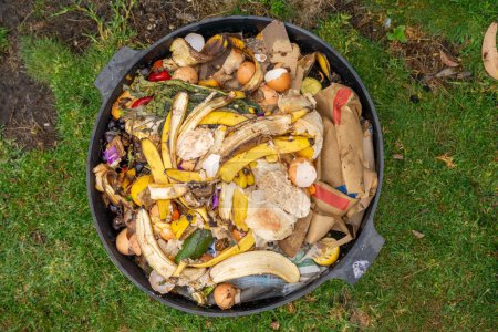 Gemüseabfälle in einem Kompostbehälter mit Würmern, die sie in Australien zerlegen