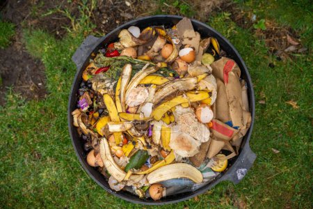 Erde in der Hand, Kompost fühlen auf einem Feld in Tasmanien Australien. 