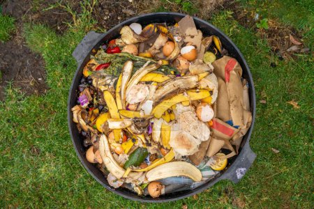 Téléchargez les photos : Vers dans un tas de compost, compost thermophile organique tournant en Australie - en image libre de droit